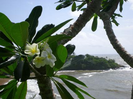 Bild 8 zur Urlaubsidee »Ayurveda in der Hiru Villa - Tradition und Moderne unter einem Dach«