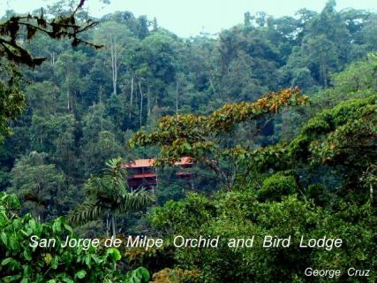 Bild 15 zur Urlaubsidee »San Jorge in Ecuador bietet faszinierende familiengeführte Öko-Lodges inmitten geschützten Bioreservaten«
