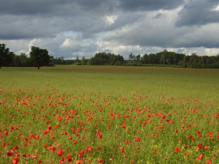 Bild 3 zur Urlaubsidee »Auf dem Motorrad durch Lettland «
