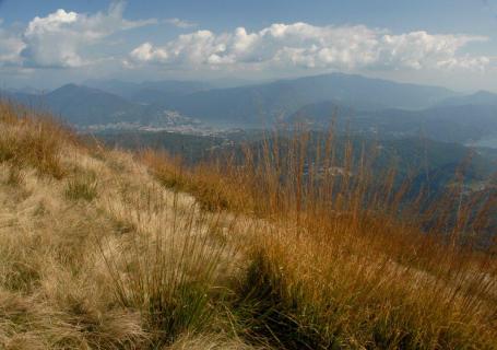 Bild 4 zur Urlaubsidee »Frühling in Lugano - Tessin «