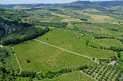 Bild 4 zur Urlaubsidee »Wein & Wandern in der südlichen Toskana - klingende Weinberge«