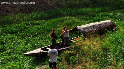 Bild 2 zur Urlaubsidee »Ab in den Dchungel des Amazonas von Peru Iquitos«