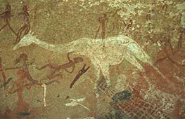 Bild 6 zur Urlaubsidee »Namibia - Discover Safari«