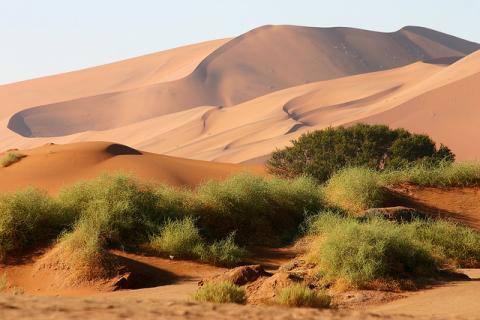 Bild 1 zur Urlaubsidee »Namibia - Ursprünglich und voller landschaftlicher Hochgenüsse«