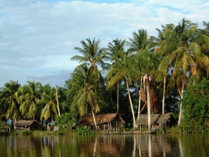 Bild 2 zur Urlaubsidee »Singlereise: Rundreise Venezuela - Regenwald und Karibik«