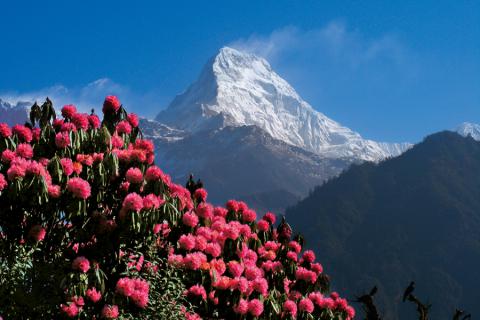 Bild 1 zur Urlaubsidee »Nepal - Große Annapurna-Runde - 22 Tage Trekkingrundreise«