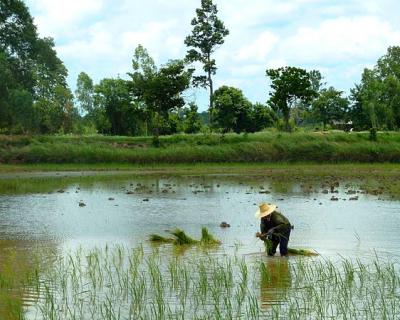 Bild 3 zur Urlaubsidee »Thailand Spezial: 4×4 Autoreise durch den Isan – Der Mekong River bis nach Nong Khai «