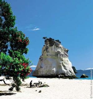 Bild 4 zur Urlaubsidee »Neuseeland (ab Oktober 2012)«