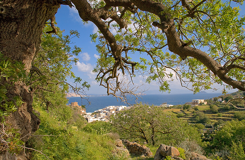 Bild 3 zur Urlaubsidee »Wandern auf dem Vulkan Nisyros«