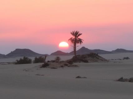 Bild 1 zur Urlaubsidee »Individuell in die Oase Bahariya und die Weiße Wüste in Ägypten reisen«