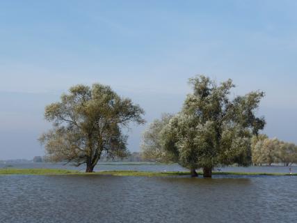 Bild 7 zur Urlaubsidee »Radreise auf dem Oder/Neiße-Radweg von Frankfurt/Oder nach Usedom«