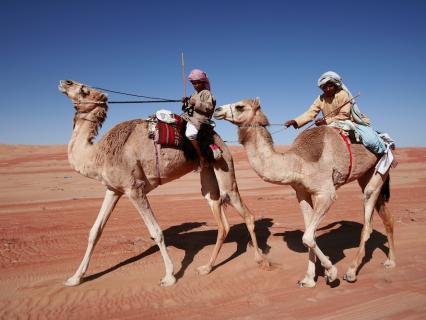 Bild 5 zur Urlaubsidee »Geheimnisvoller Oman«