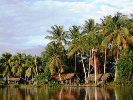 Bild 1 zur Urlaubsidee »Ostvenezuela 12 Tage«