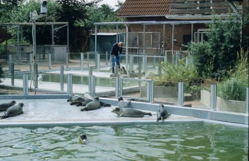 Bild 2 zur Urlaubsidee »Kultur in Ostfriesland - Krimi, Kunst und Kulleraugen«