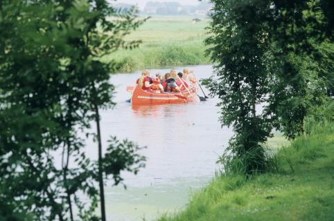 Bild 2 zur Urlaubsidee »Ostfrieslands Natur - Auf den Spuren von Wollgras und Wildgans«
