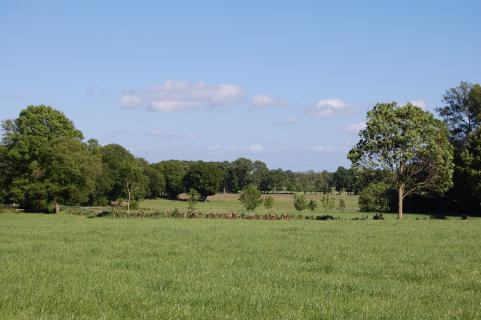 Bild 5 zur Urlaubsidee »Ostfrieslands Natur - Auf den Spuren von Wollgras und Wildgans«