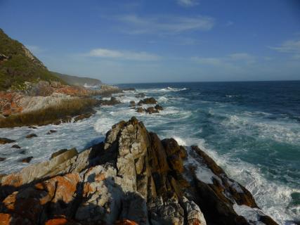 Bild 12 zur Urlaubsidee »Südafrika - Entlang zweier Weltmeere«