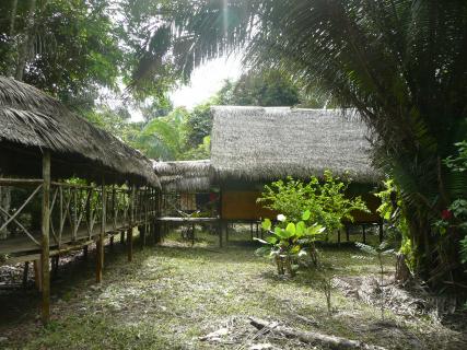 Bild 3 zur Urlaubsidee »Abentuer im Amazonas Fluss von Peru Iquitos«