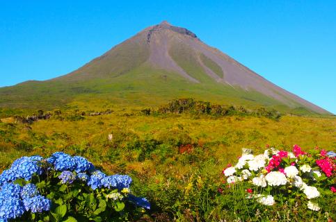 Bild 5 zur Urlaubsidee »Inspiration Pico / Naturreise zur Azoreninsel Pico«