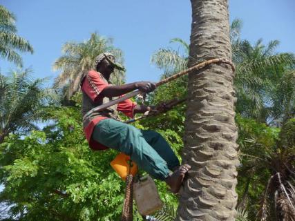 Bild 5 zur Urlaubsidee »16-tägige Erlebnis-Rundreise im Senegal«