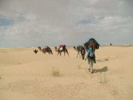 Bild 11 zur Urlaubsidee »In der südtunesischen Sahara den Alltag einer Wüstenkarawane erleben«