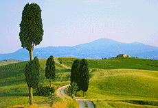 Bild 3 zur Urlaubsidee »Pienza, die Idealstadt UNESCO-Weltkulturerbe mitten in der südlichen Toskana, Italien«