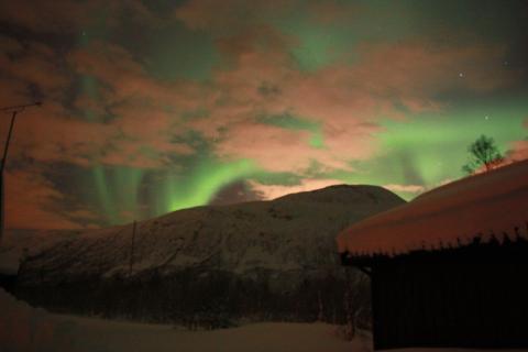 Bild 3 zur Urlaubsidee »Tromsö - Polar Night Halbmarathon & 10 km am 04.01.2014«
