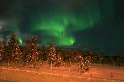 Bild 7 zur Urlaubsidee »Lappland-Wochenende für Singles - Driving on Snow & Ice«