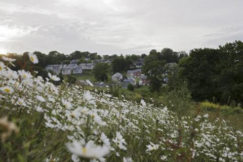 Bild 1 zur Urlaubsidee »Neue Häuser im Feriendorf: Familienferien in der Normandie «