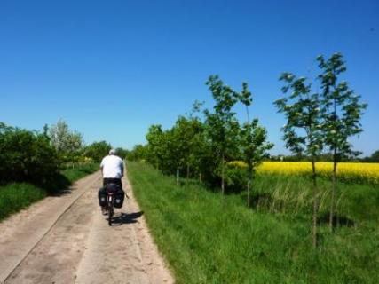 Bild 3 zur Urlaubsidee »Radreise am Havel-Radweg von Waren (Müritz) nach Berlin-Spandau«