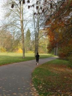 Bild 5 zur Urlaubsidee »Radreise am Ilm- und Saaleradweg - Rundtour Weimar-Naumburg-Weimar«