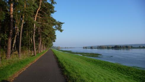 Bild 5 zur Urlaubsidee »Radreise auf dem Oder/Neiße-Radweg von Frankfurt/Oder nach Usedom«