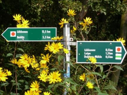 Bild 6 zur Urlaubsidee »Rundtour auf dem Gurkenradweg im Spreewald«