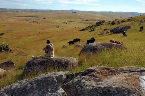Bild 2 zur Urlaubsidee »Kwazulu-Natal - Entdecken Sie das wahre Südafrika!«