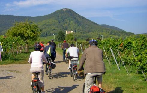 Bild 14 zur Urlaubsidee »Radfahren & Genießen – Entdecker- und Erlebnisradtouren an der Deutschen Weinstraße.«