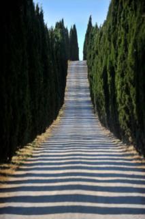 Bild 2 zur Urlaubsidee »Foto-Workshop Toskana Umbrien Lago Trasimeno Italien«