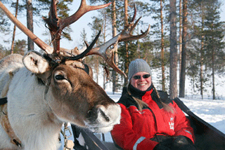 Bild 3 zur Urlaubsidee »Winterabenteuer am Polarkreis im Wildniszentrum Bears Lodge mit Suomi Travel«