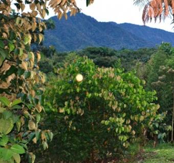 Bild 2 zur Urlaubsidee »Dschungelabenteuer in Ecuador!«