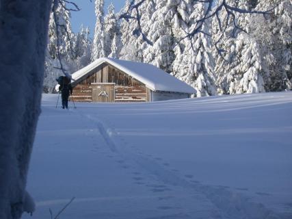 Bild 1 zur Urlaubsidee »Langlauf in Lappland«