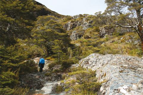 Bild 2 zur Urlaubsidee »Natur pur im Fiordland Nationalpark, Neuseeland«