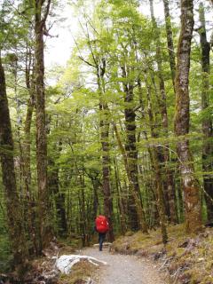 Bild 3 zur Urlaubsidee »Natur pur im Fiordland Nationalpark, Neuseeland«