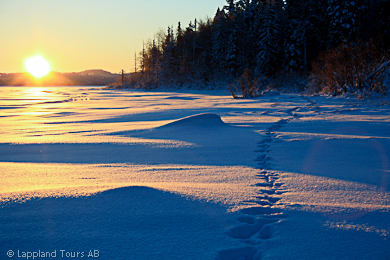 Bild 3 zur Urlaubsidee »The last trapper - Urlaub wie bei Jack London«
