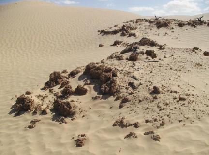 Bild 17 zur Urlaubsidee »In der südtunesischen Sahara den Alltag einer Wüstenkarawane erleben«