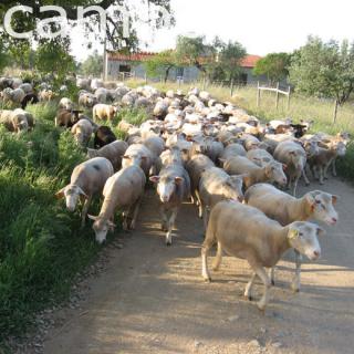 Bild 2 zur Urlaubsidee »Quinta No Campo: Ein umweltfreundliches Haus - Portugal«