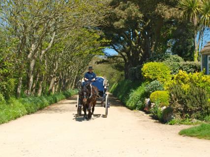 Bild 4 zur Urlaubsidee »Wanderurlaub auf Guernsey - Die schönste Kanalinsel ist ein einziger Botanischer Garten«