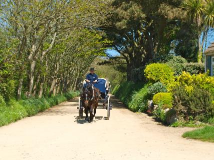 Bild 8 zur Urlaubsidee »Kanalinsel Guernsey: Wandern "zwischen England und Frankreich"«