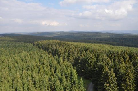 Bild 1 zur Urlaubsidee »Indian Summer auf der Sauerland-Waldroute«