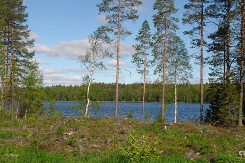 Englisch dating sites in schweden