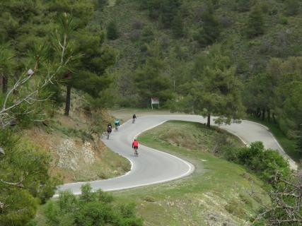 Bild 4 zur Urlaubsidee »Bergwoche im Troodos-Gebirge: Die Rennrad-Herausforderung für Bergziegen 6 Tage – 522 km – 7430 HM«