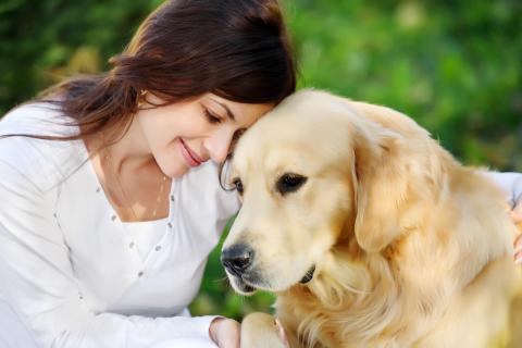Bild 1 zur Urlaubsidee »DOG HOLIDAYS @ CUBE«